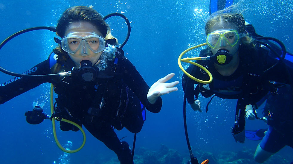 scuba diving.jpeg
