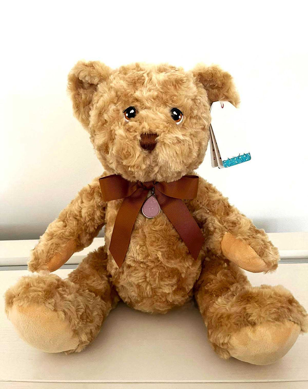Thumbnail: Classic Memorial Teddy Bear