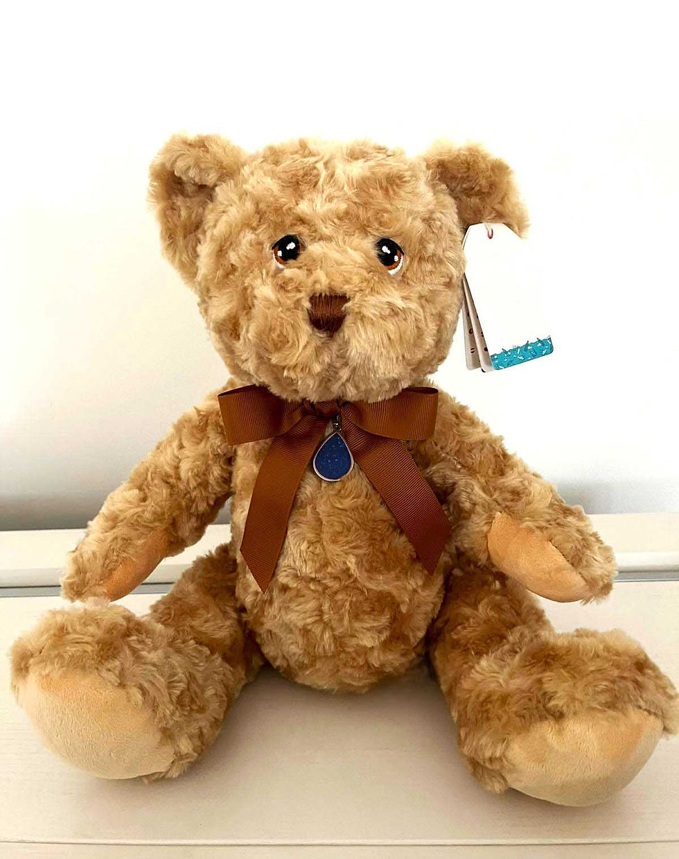 Thumbnail: Classic Memorial Teddy Bear