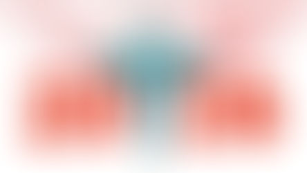 ⚕️SNMHFO : Les vœux 2026 du Bureau National 