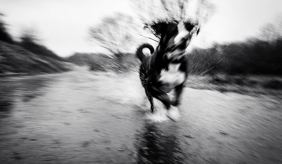 Mut im Regen