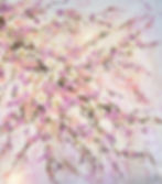 "Cherry Blossoms" by Velia Newman