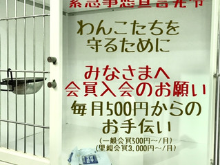 一般会員/里親会員 入会のお願い