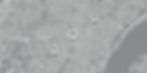 image_fx_cropped.jpg