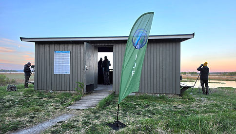 Tornkamp_20260509_1.jpg