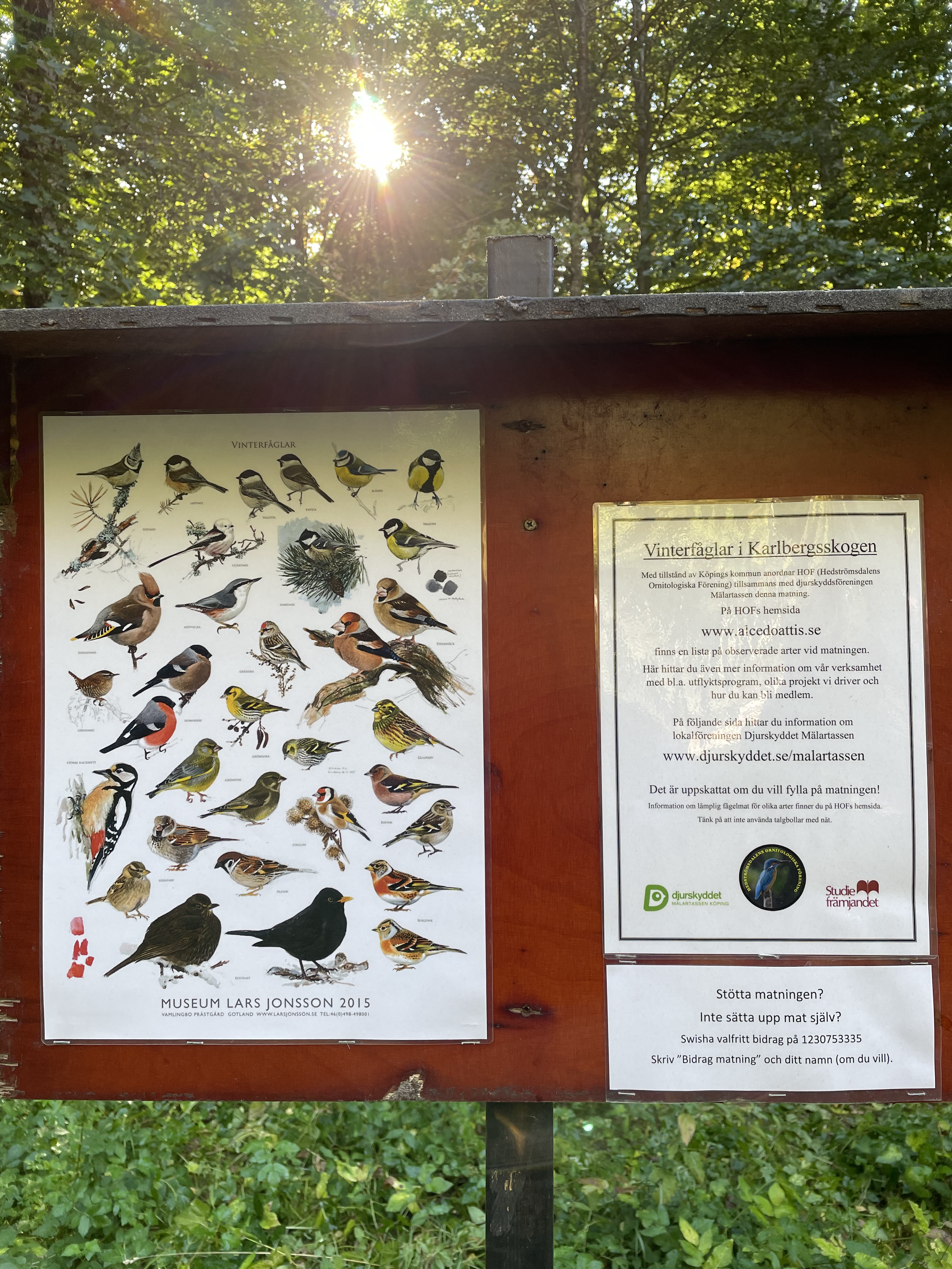 Matningen i Karlbergsskogen content media
