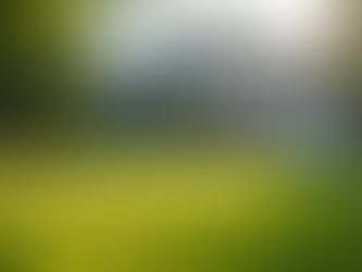 Find the Perfect Home with Expert Help