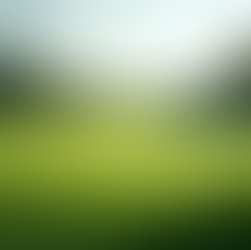 Join Our Golf Community at Simple Swing Garage