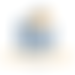 BV Investment Partners closes Fund XI with $1.75b; hits hard cap