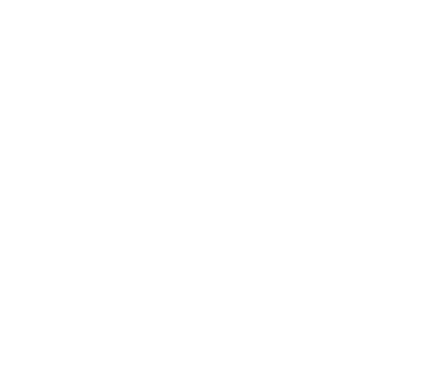 Logo_DFC_blanc 01 Plan de travail 15 Copier 2.png