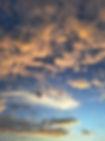 20220614_183604.jpg