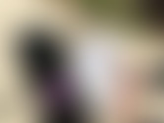 pies w szelkach, człowiek pokazuje mu coś palcem na dogtrekkingowej mapie