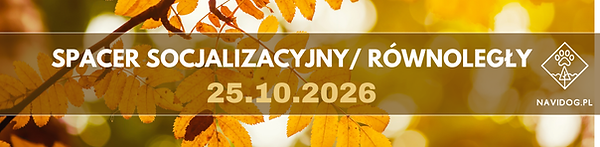spacer pazdziernik 26 baner.png