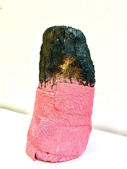 fig burnt log.jpg