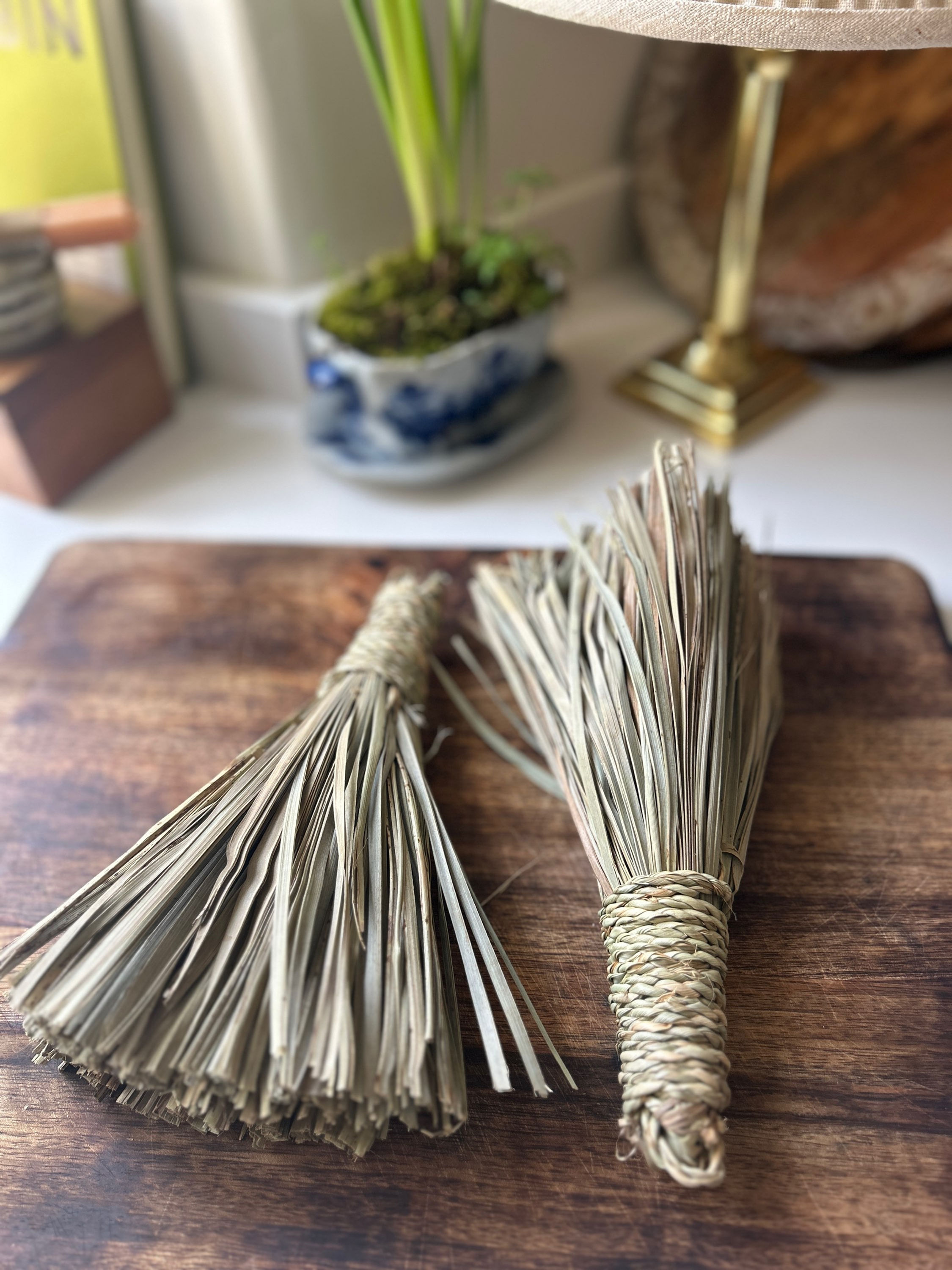 BRUSH \\ LITTLE PALM