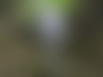 A Camera Kit for Hiking