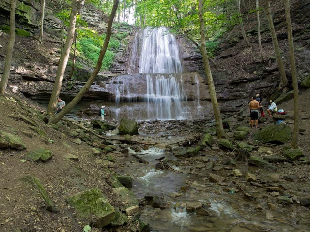 waterfall in a forest