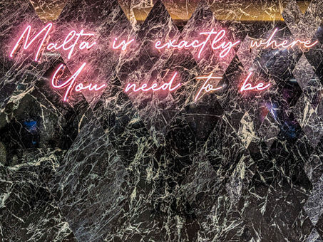 A Couple of Maltese Falcons take Flight