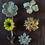 Thumbnail: Flower Brooches