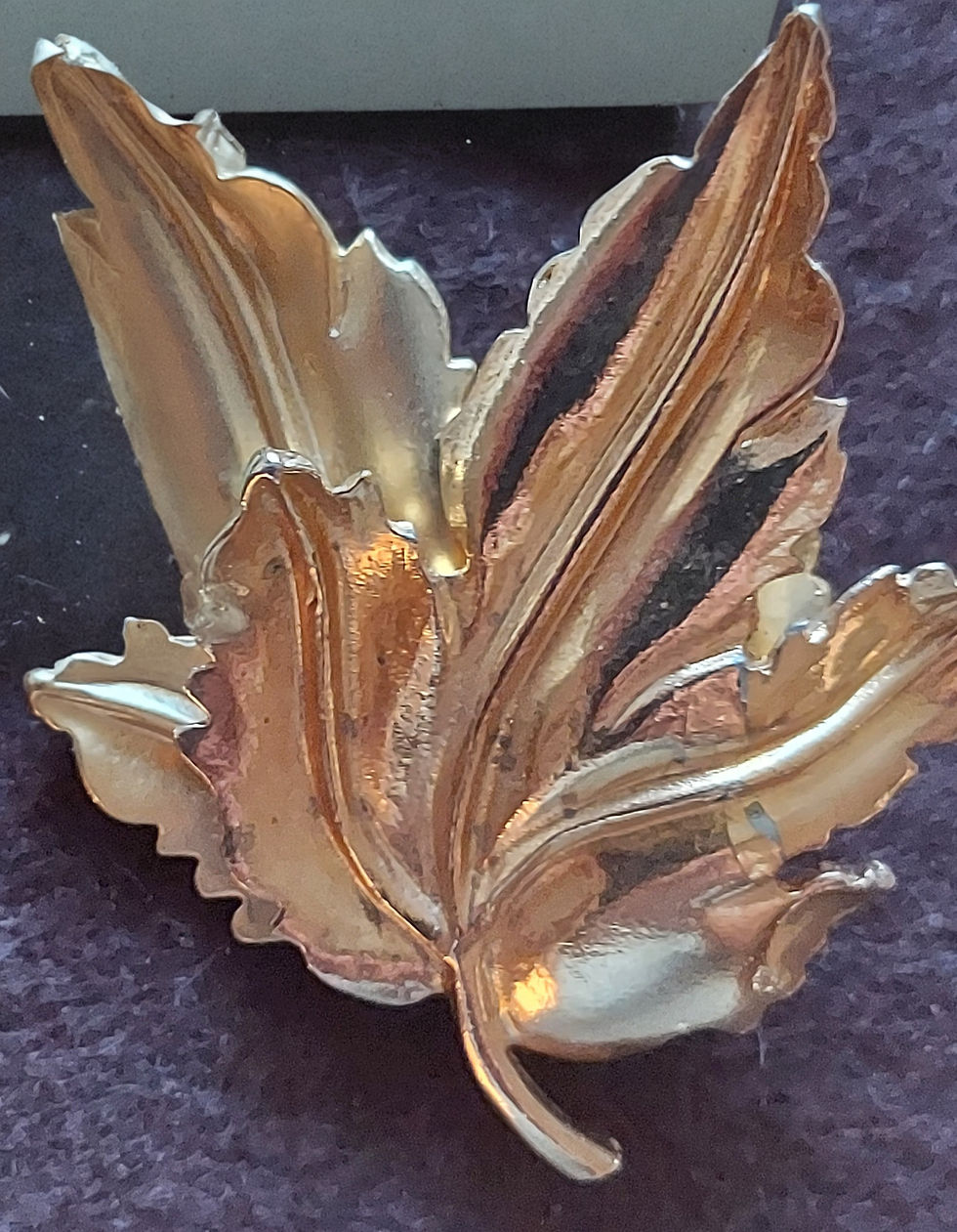 Thumbnail: Leaf Brooches