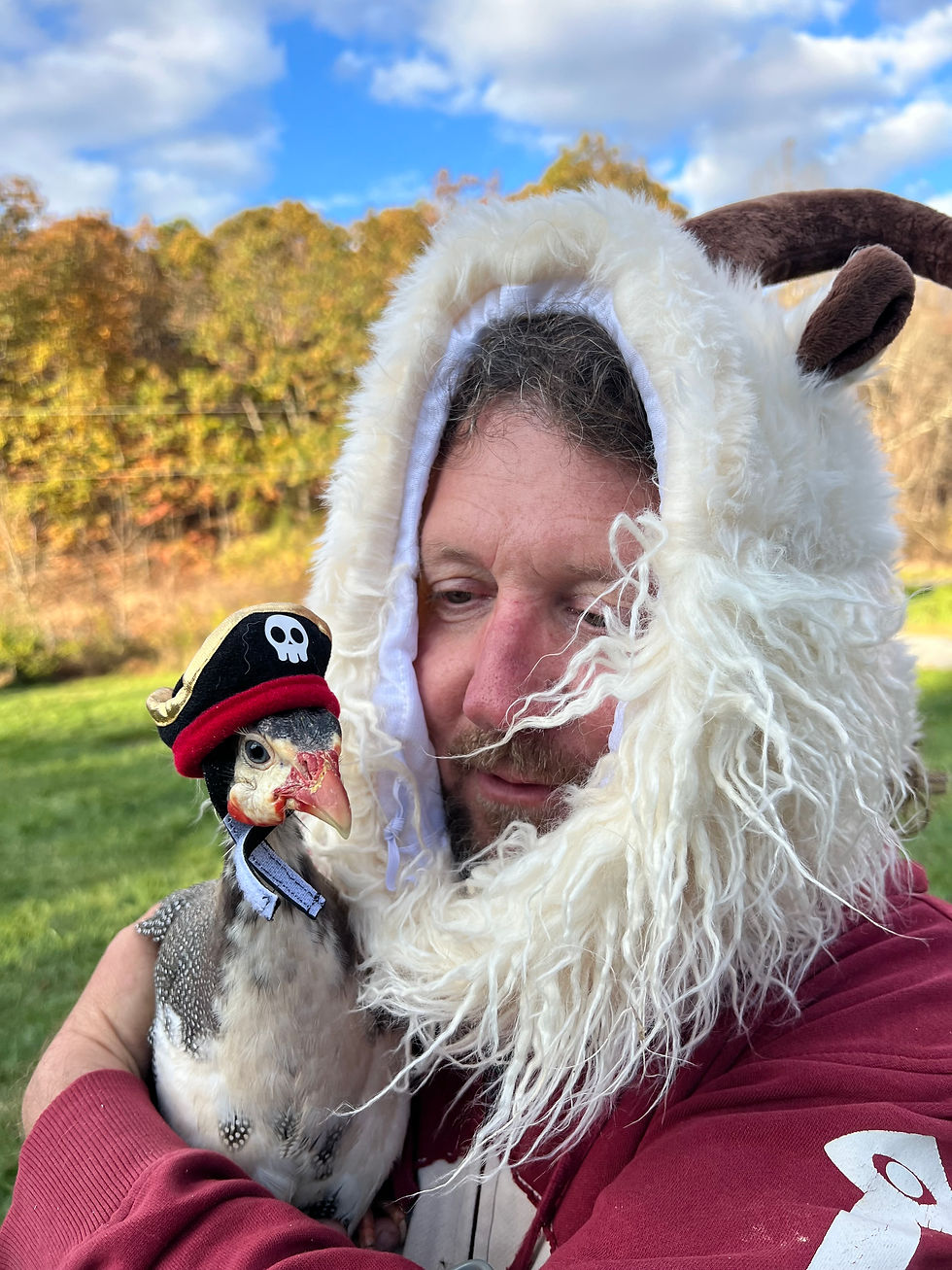 Man in a fluffy horned costume hugs a gray and white guineafowl in a pirate hat, outdoors under blue sky and autumn trees.