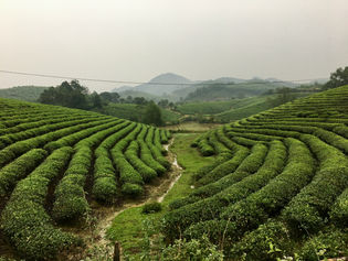 Vietnam - ... by motorbike