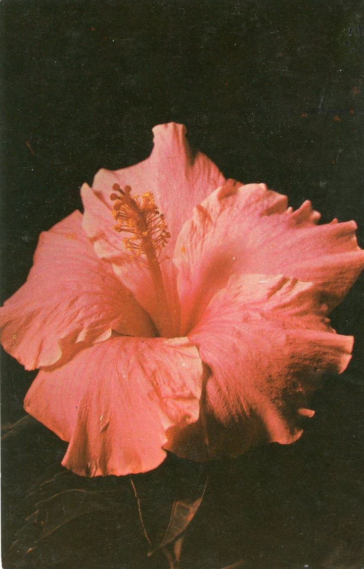 a9e7e8dd82e9b6721c33cdd27695fceb.jpg