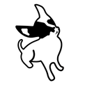Amir Dog training logo 