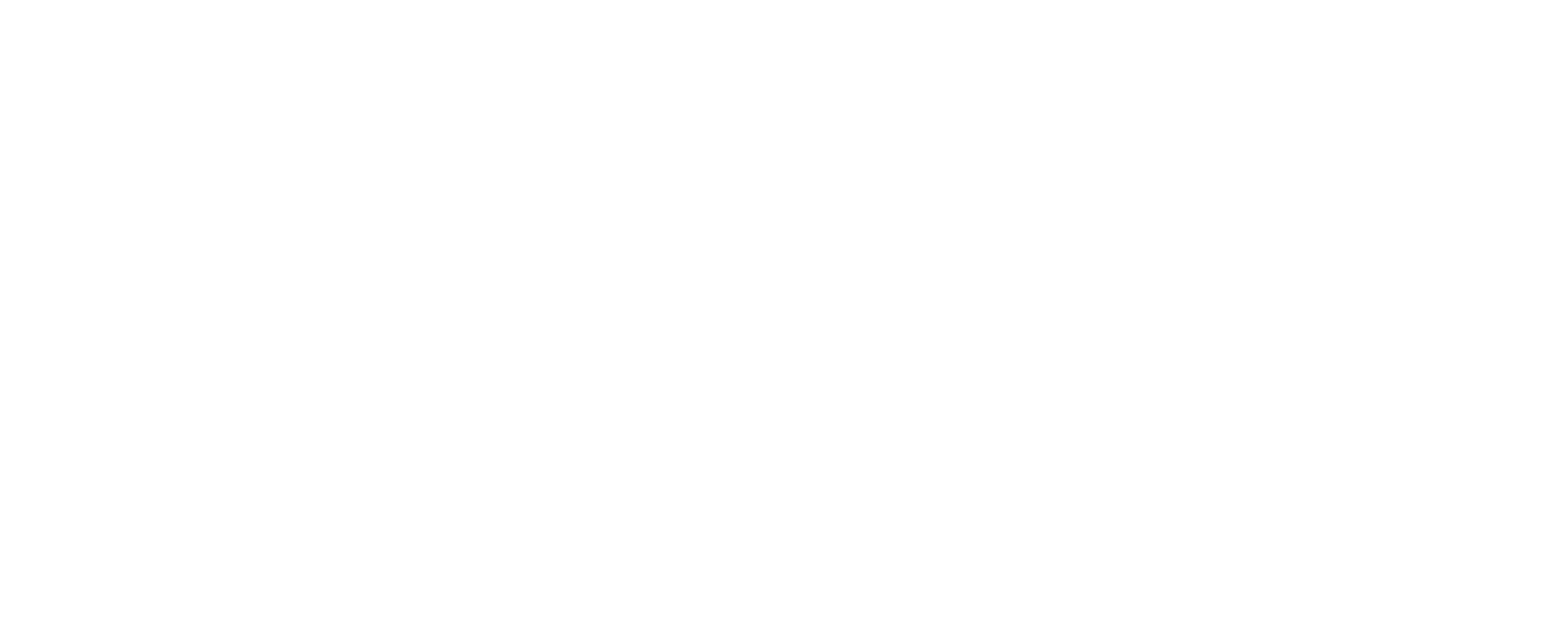 DuraPar-logo-BCO.png