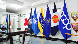 Banderas institucionales