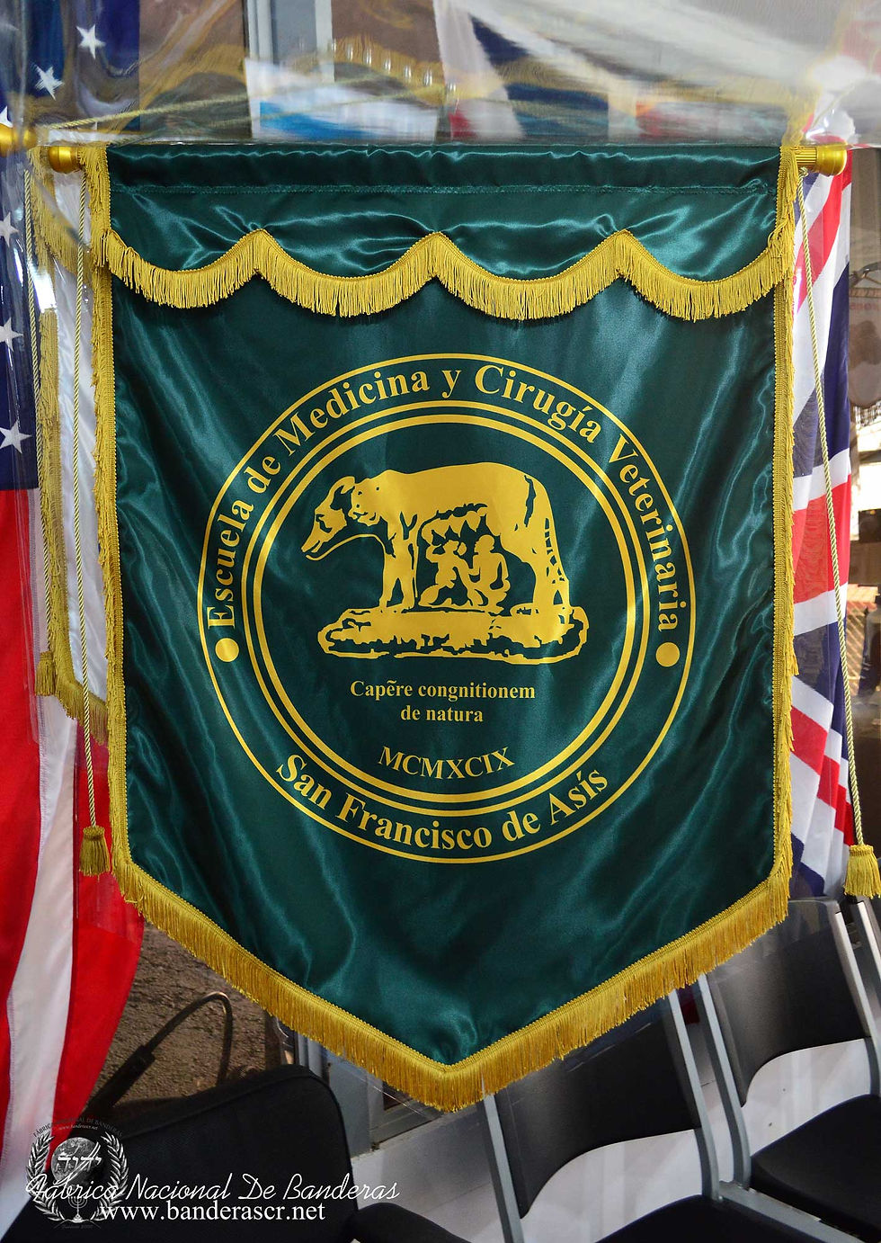 Estandarte