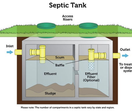 septic illustration