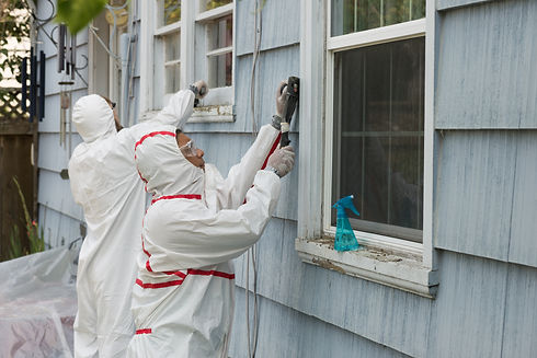 lead removal service