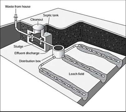 septic illustration