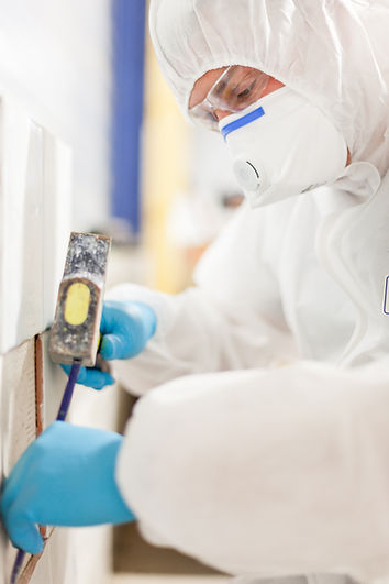 home inspection for hazardous materials