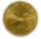 canadian loonie
