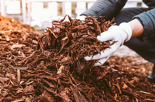 mulch