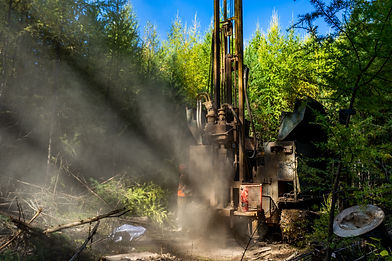 pompe dans la forêt