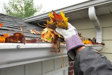 Photo de nettoyage de gouttiere s.webp