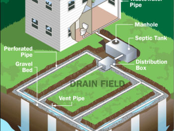 septic illustration