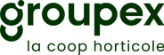 Groupex logo