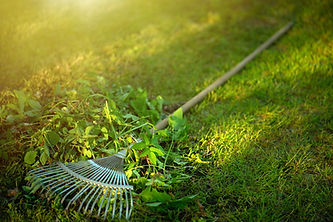 leaf raking