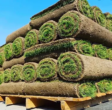 sod