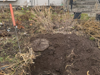AA Septic Service