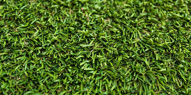 synthetic lawn