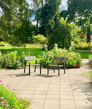 paver stones