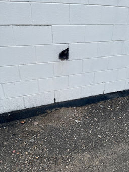 asbestos abatement service