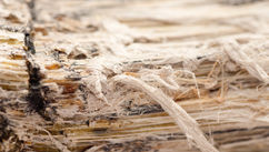 Vermiculite insulation 