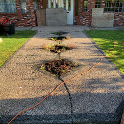 old concrete walkway