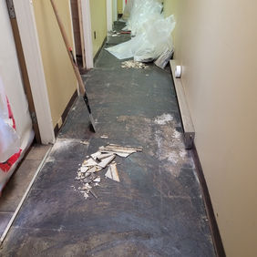 asbestos abatement